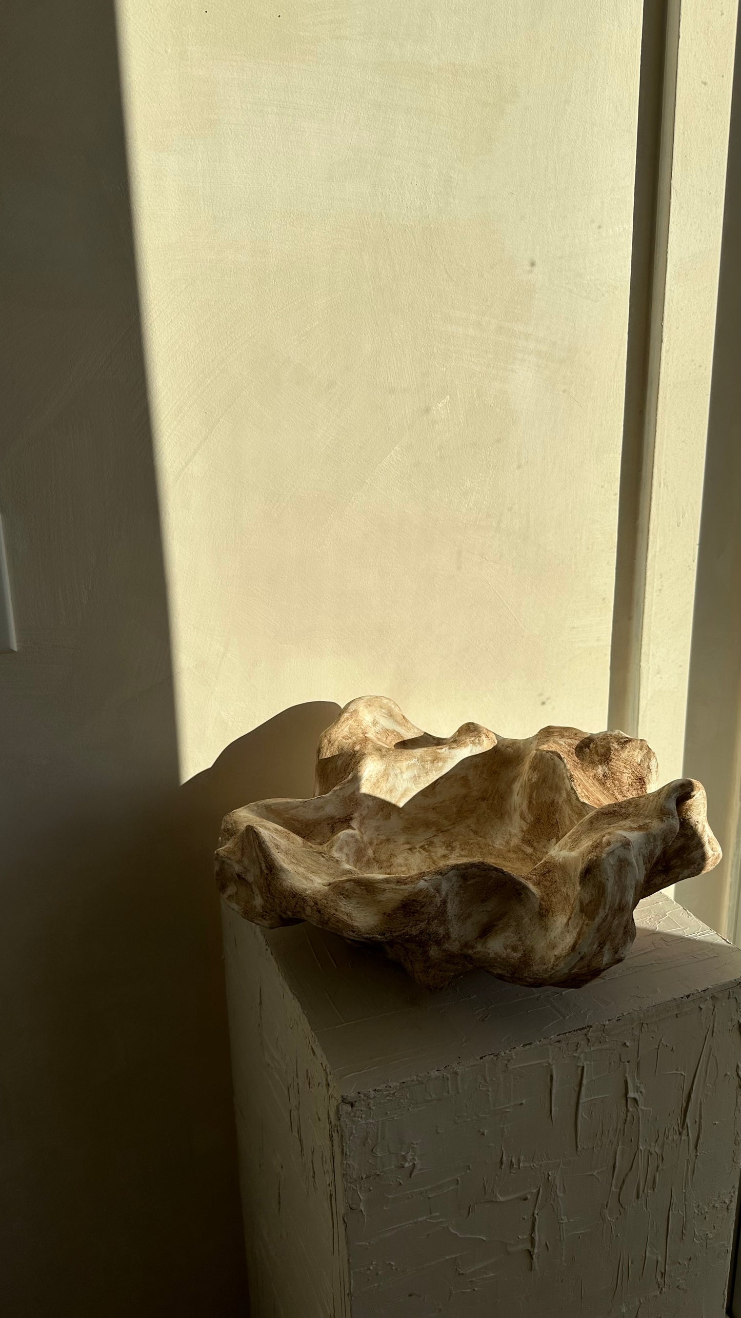 Organic Modern Decor Bowl