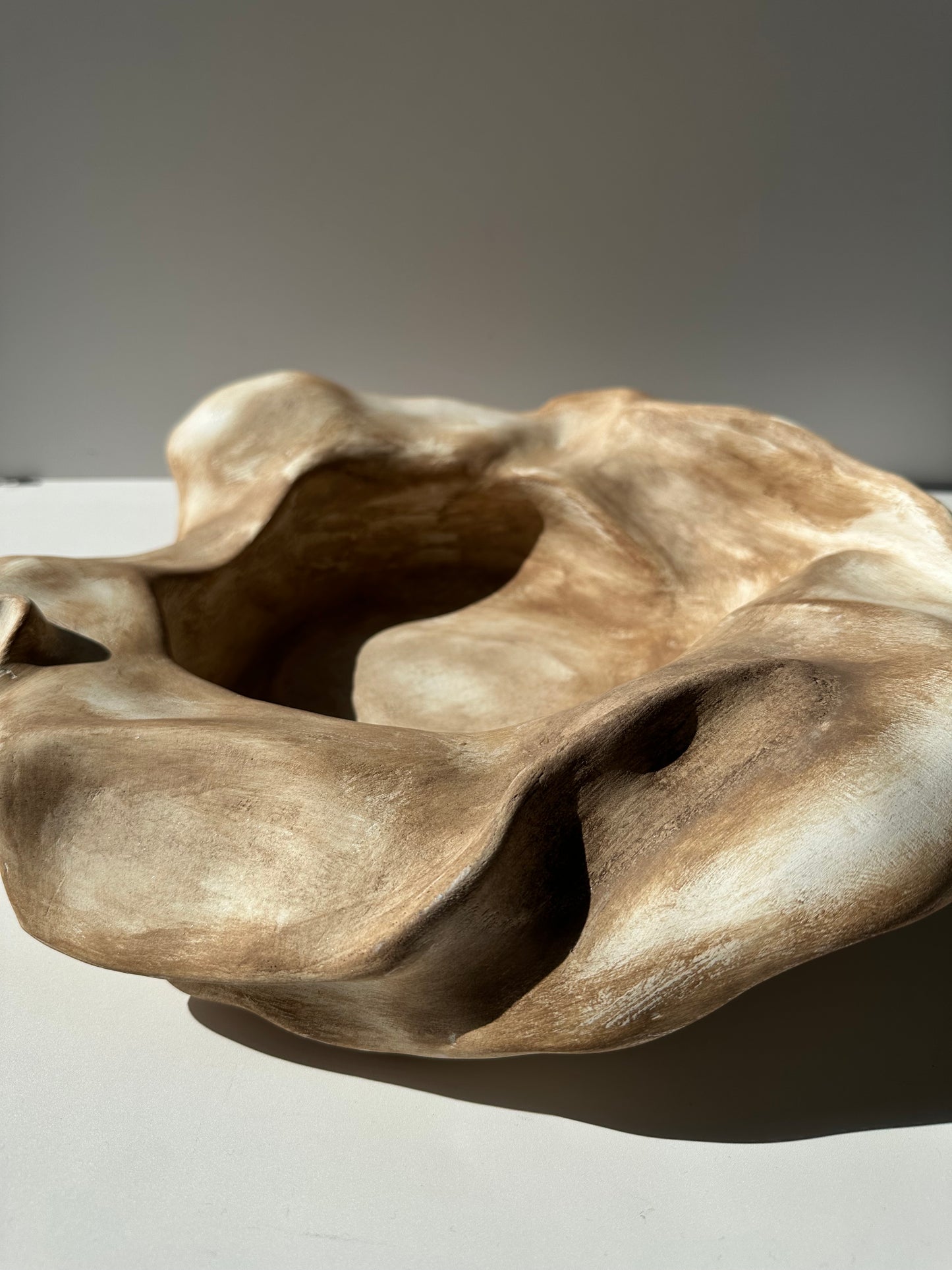 Organic Decorative Bowl | Sculptural Bowl