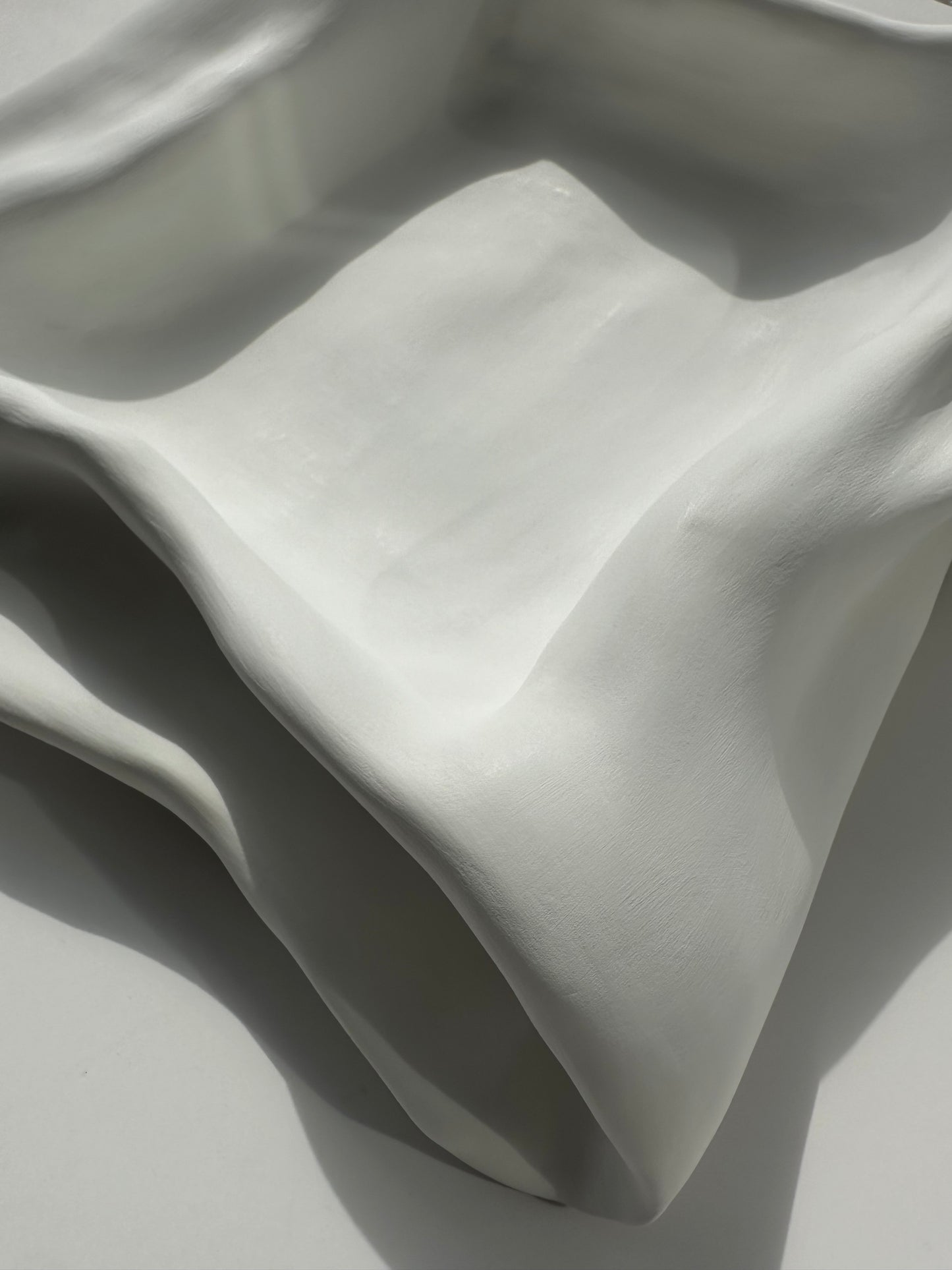 Organic Modern Sculptural Tray