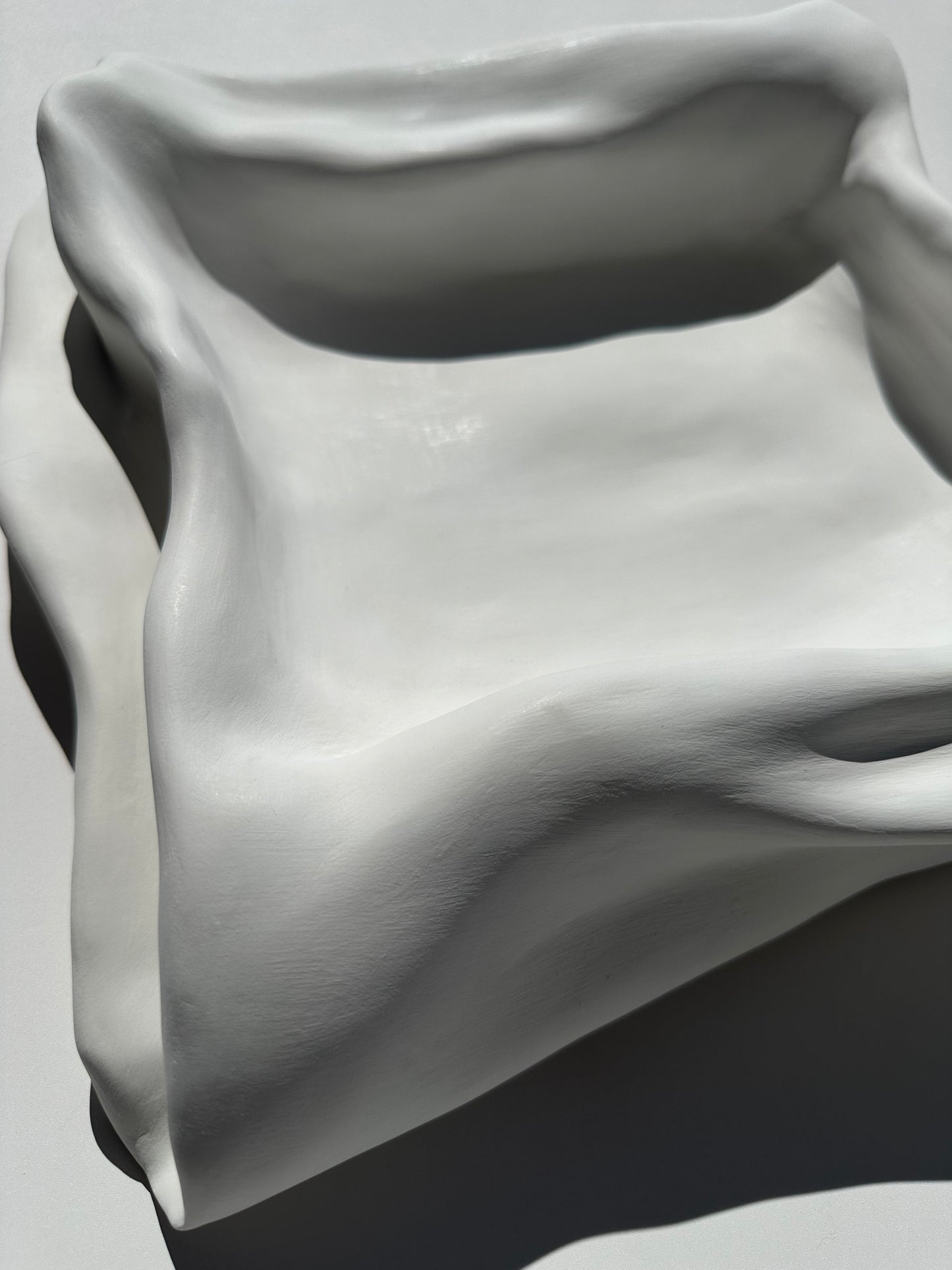 Organic Modern Sculptural Tray