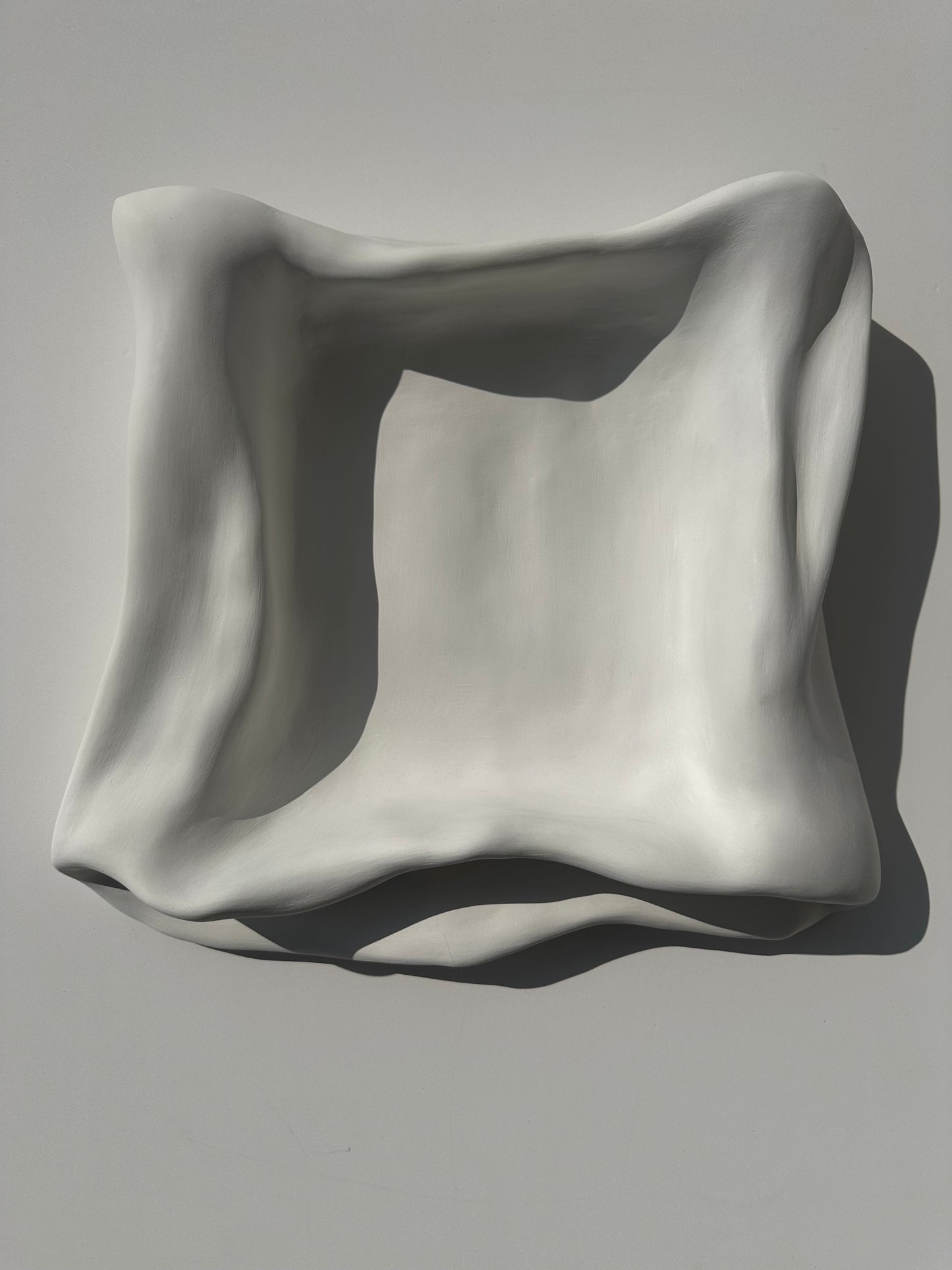 Organic Modern Sculptural Tray